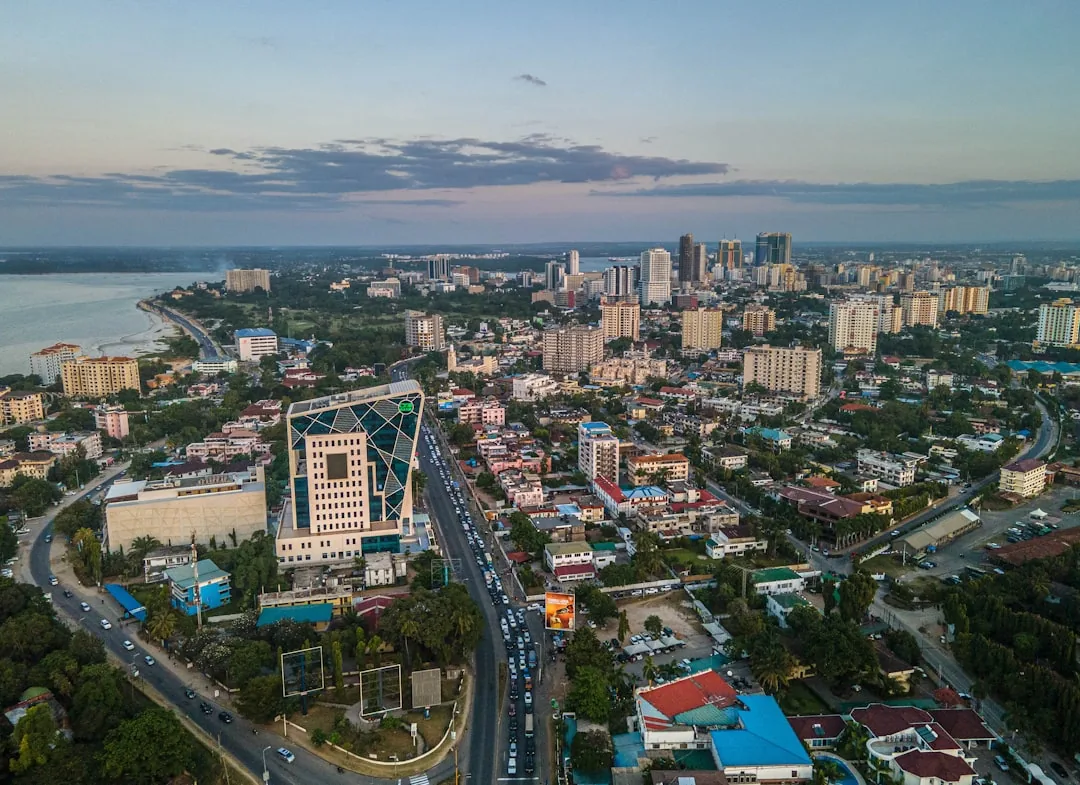 SakuraHost vs Hostinger vs Namecheap: Which Is Best for Tanzanian Businesses?